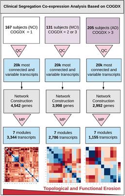 Erosion of Gene Co-expression Networks Reveal Deregulation of Immune System Processes in Late-Onset Alzheimer’s Disease